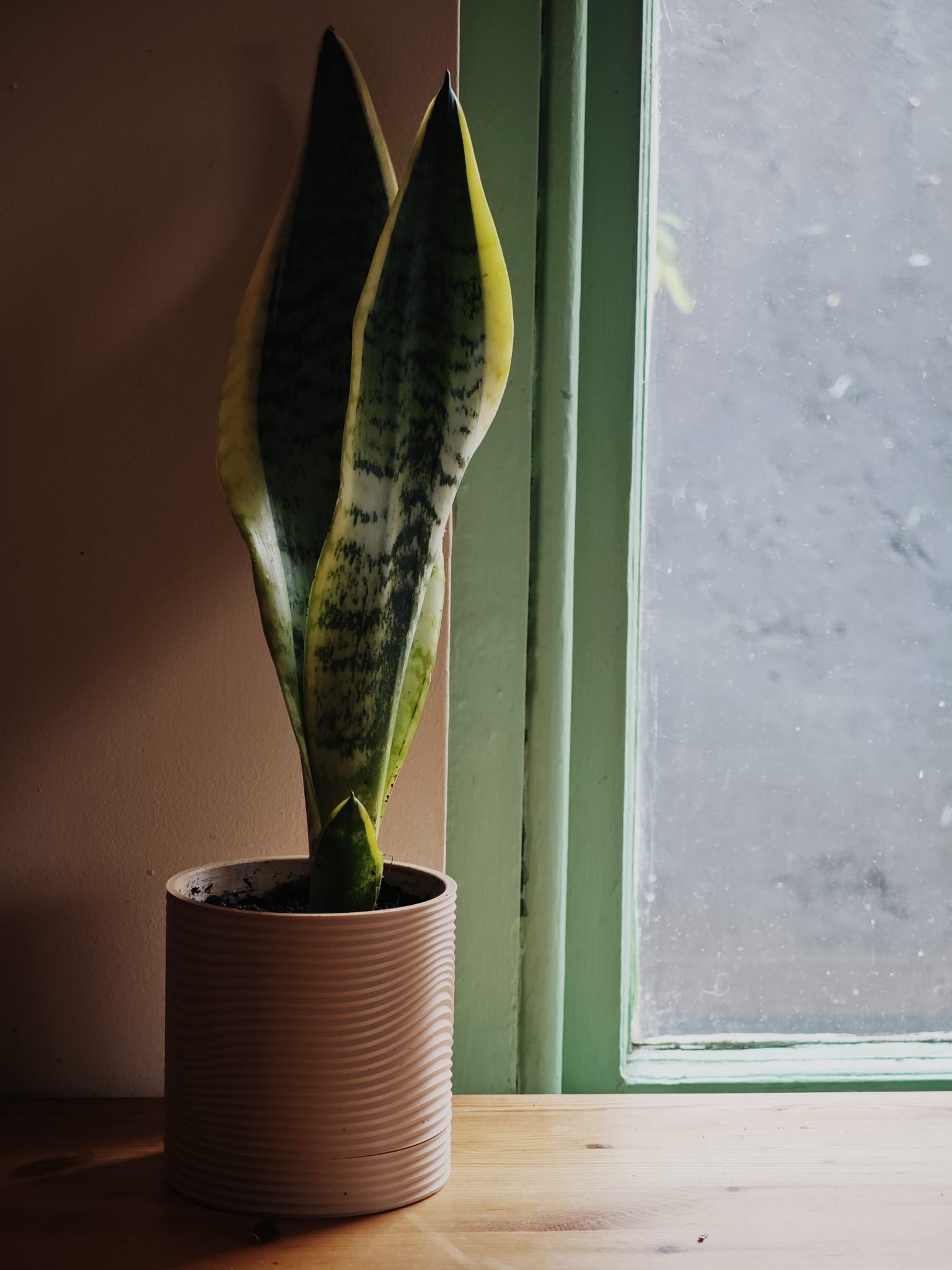 Mojave Planter